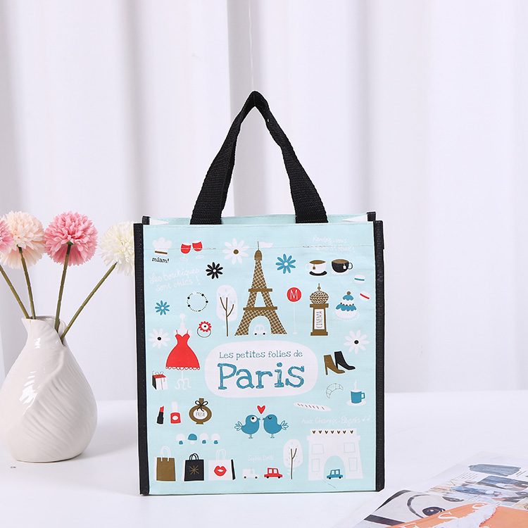 Beg Tote Berlapis Berwarna-warni